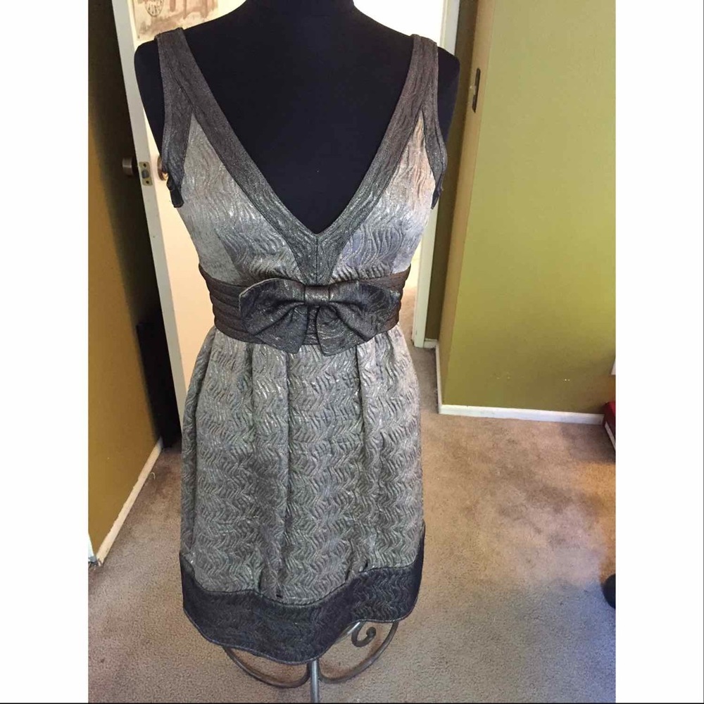 Anna Sui Silver Dress